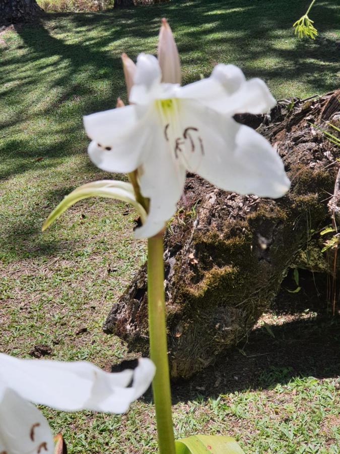 Recanto Das Borboletas São Roque Exteriör bild