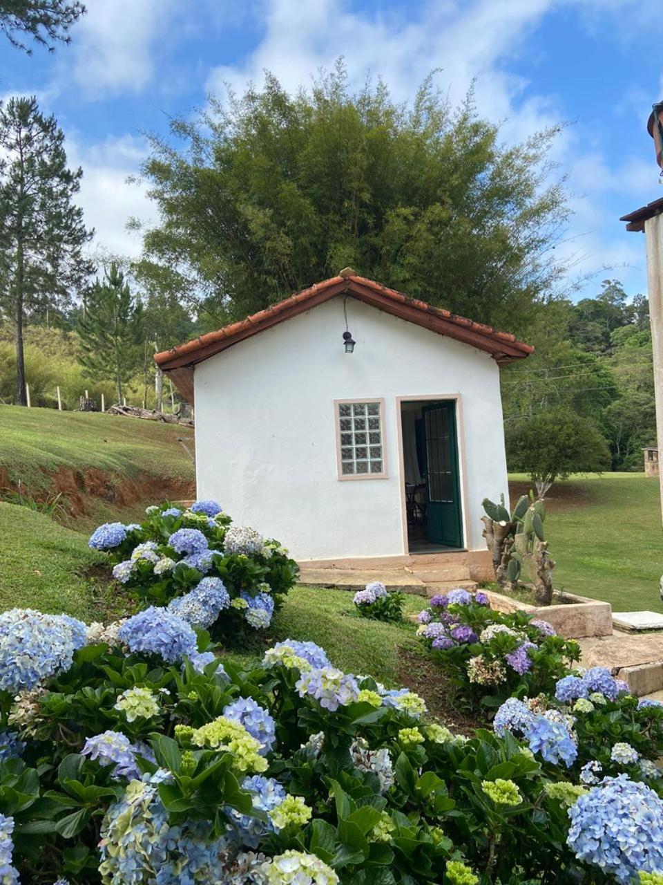 Recanto Das Borboletas São Roque Rum bild