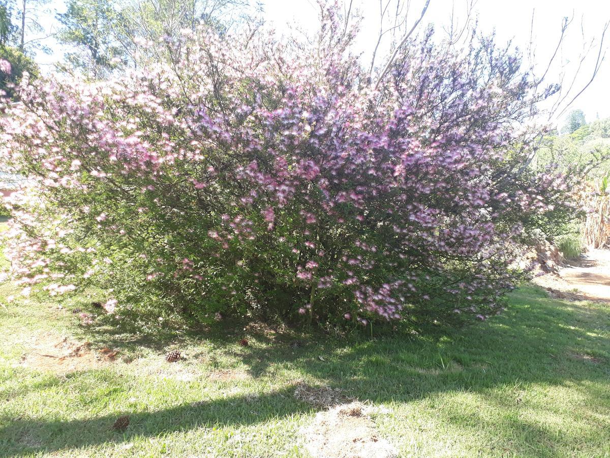 Recanto Das Borboletas São Roque Exteriör bild