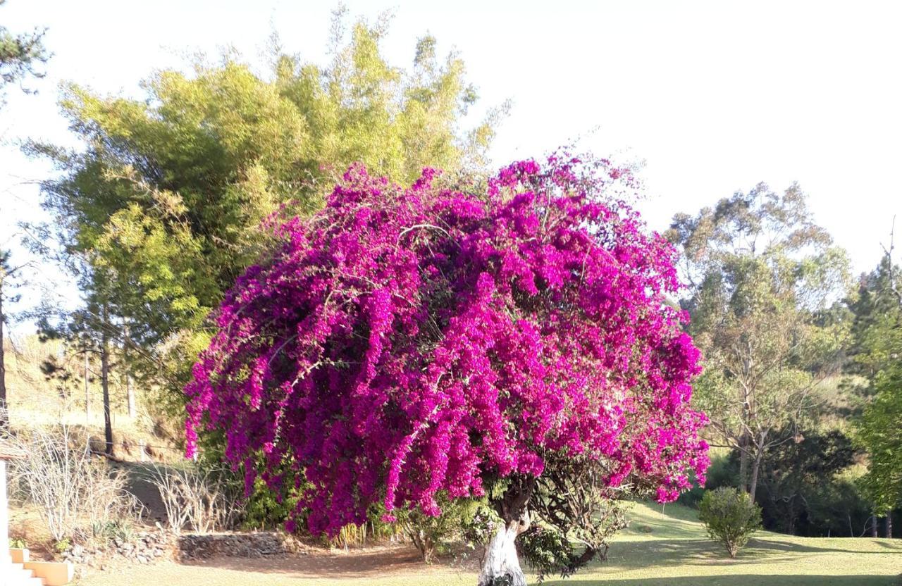 Recanto Das Borboletas São Roque Exteriör bild