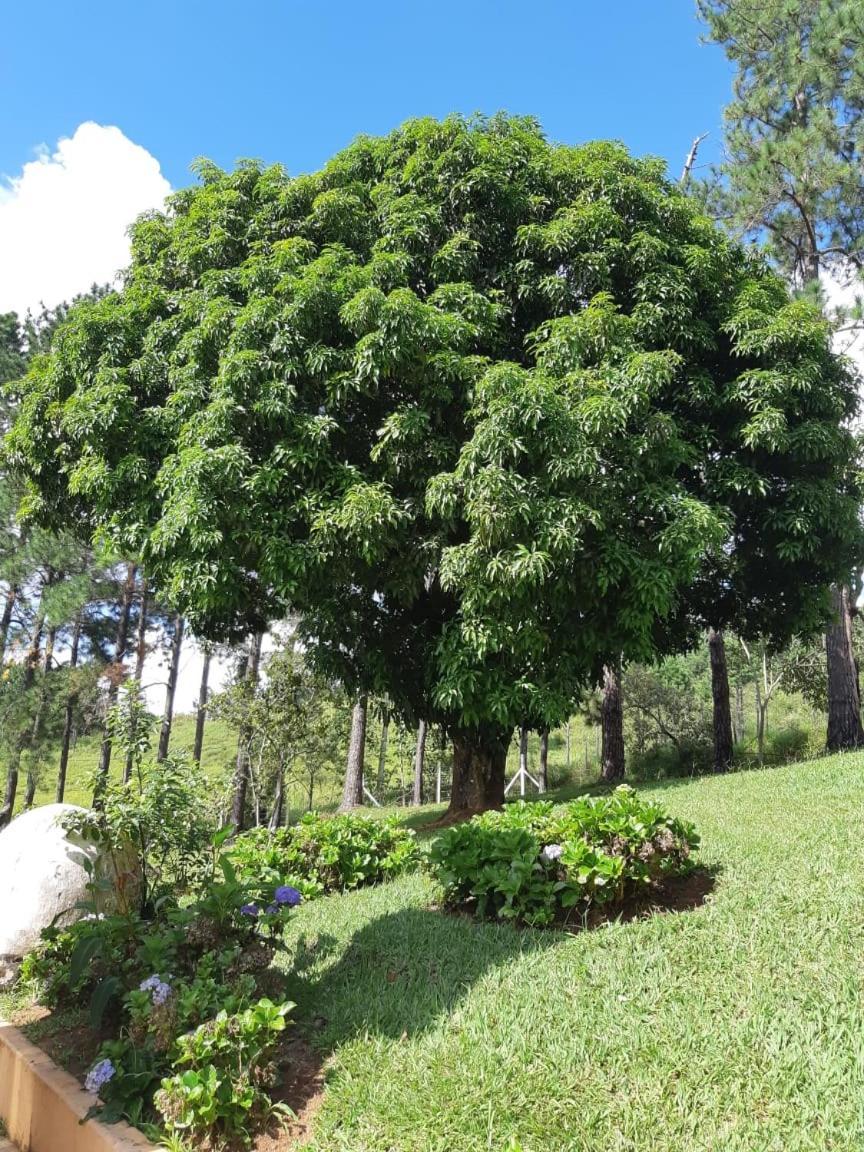 Recanto Das Borboletas São Roque Exteriör bild